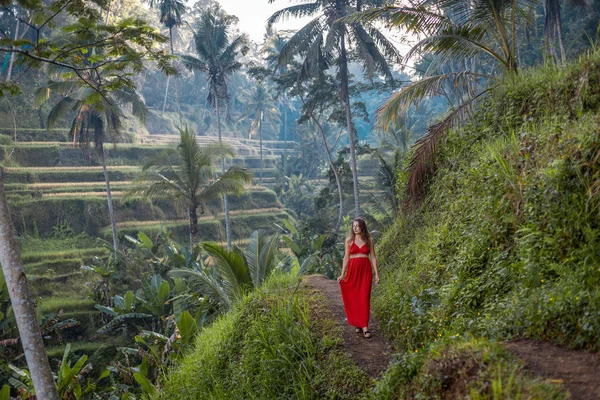 Tegallalang 'da pirinç tarlalarında yürüyen kırmızı elbiseli bir kadın. Dışarıdaki kırsal Ubud köyü manzarası. Moda tarzı — Stok fotoğraf