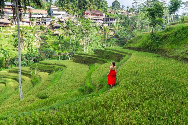 Mujer vestida de rojo admira campos de arroz Bali en Tegallalang. Paisaje rústico del pueblo de Ubud afuera. Estilo de moda —  Fotos de Stock