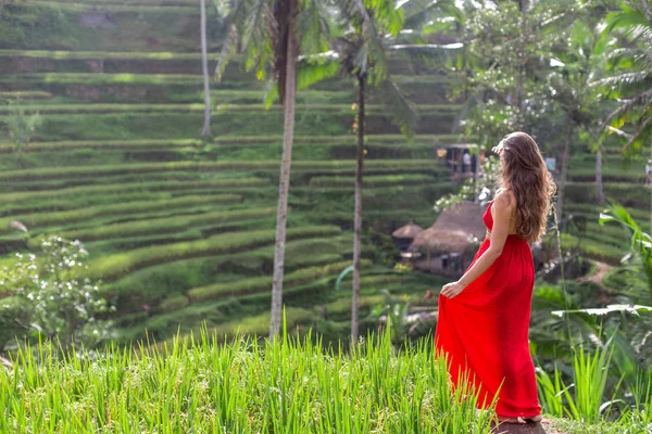 Bali, Endonezya güzel tegallalang pirinç terası bakarak kırmızı elbise güzel kadın geri görünümü — Stok fotoğraf