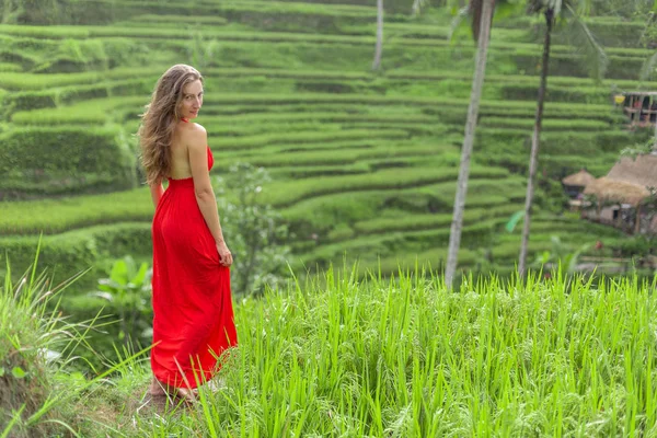 Kırmızı elbiseli kadın Tegallalang 'daki pirinç tarlalarına hayran. Dışarıdaki kırsal Ubud köyü manzarası. Moda tarzı — Stok fotoğraf