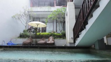 Tropik yaz yağmuru, yüzme havuzuna düşen yağmur damlaları. Doğa ve çevre kavramı