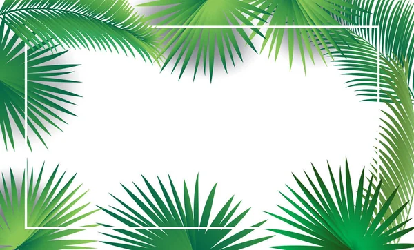 Tropische Palme Blätter Rahmen Exotische Blumen Grün Blatt Zweige Rand — Stockvektor