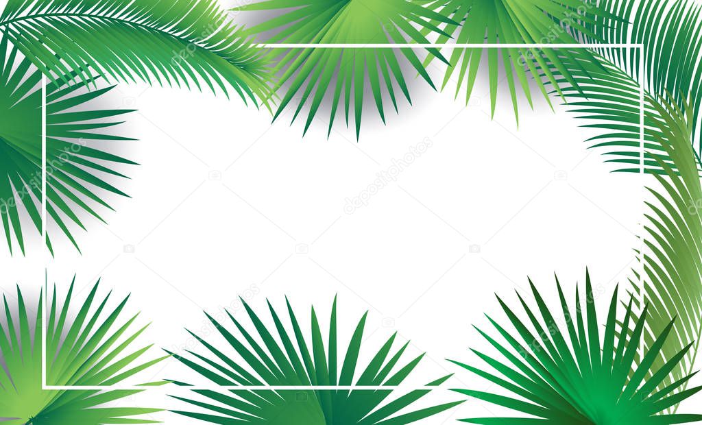 Tropical palm tree leaves frame, exotic floral greenery green leaf branches border isolated Sukkot sukkah decoration white copy space blank page background Jungle floral nature Realistic vector illustration template greeting card sign wallpaper sign
