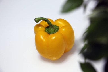 Sarı dolmalık biber beyaz zemin üzerinde ve bulanık yeşil yaprakları ile