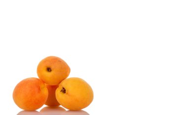 Beyaz arka planda izole edilmiş olgun organik kayısılar, makro.