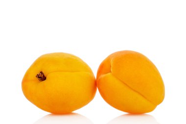 Beyaz arka planda izole edilmiş olgun organik kayısılar, makro.