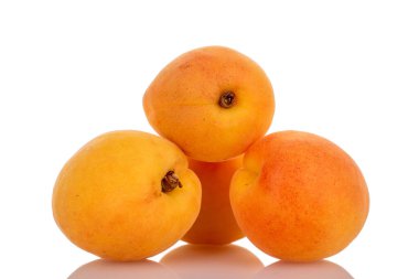 Beyaz arka planda izole edilmiş olgun organik kayısılar, makro.