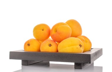 Beyaz arka planda izole edilmiş olgun organik kayısılar, makro.