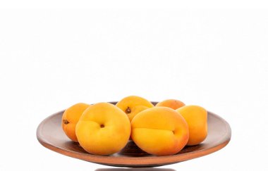 Beyaz arka planda izole edilmiş olgun organik kayısılar, makro.