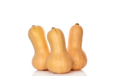 Olgun tatlı balkabakları beyaz arka planda izole edilmiş, yakın plan.