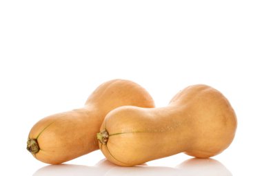 Olgun tatlı balkabakları beyaz arka planda izole edilmiş, yakın plan.