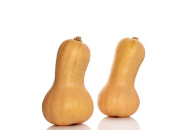 Olgun tatlı balkabakları beyaz arka planda izole edilmiş, yakın plan.