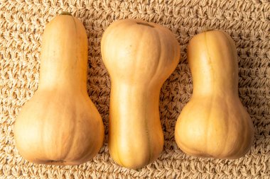 Olgun tatlı balkabakları, üst manzara, makro