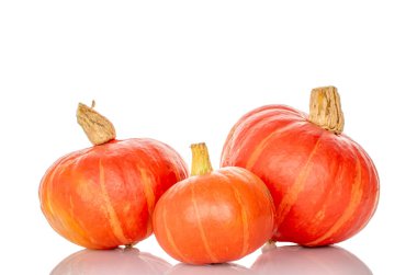 Olgun tatlı balkabakları beyaz arka planda izole edilmiş, yakın plan.