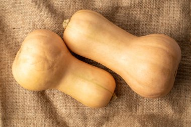 Olgun tatlı balkabakları, üst manzara, makro