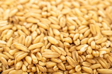 Çiğ yulaf ezmesi, yakın plan..