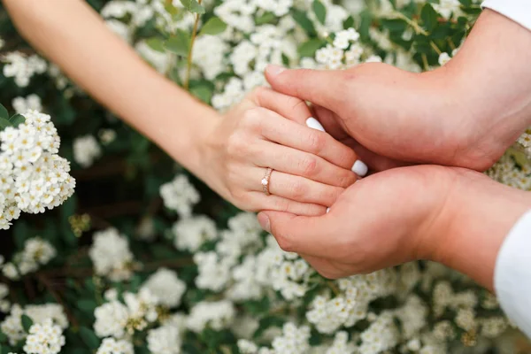 Hombre Dando Anillo Compromiso Novia Jardín Flores Sosteniendo Mano Novio — Foto de Stock