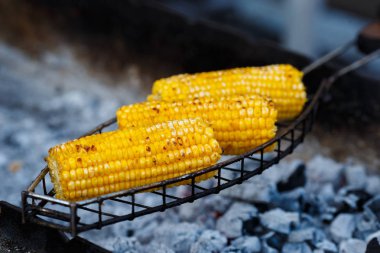 Taze kavrulmuş ya da ızgara corncobs. Izgarada Mısır sokakta Satılık.