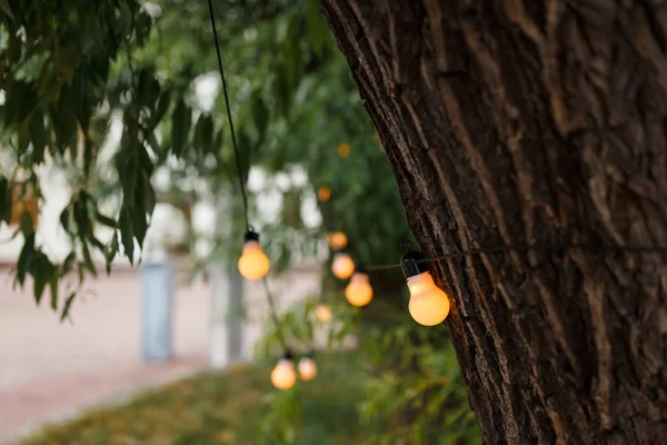 有线与温暖的灯泡挂在婚礼活动地区的夜晚庆祝 — 图库照片