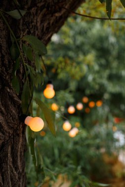 Düğün olaylar kutlama gece alanında asılı ampuller ısınma ile kablolu dize