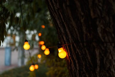 akşam Event'de sıcak Işık Ampüller