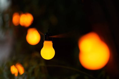 akşam Event'de sıcak Işık Ampüller