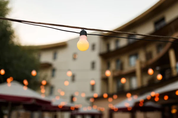string wired with warming Light Bulbs hanging in the area of wedding events celebration in the night