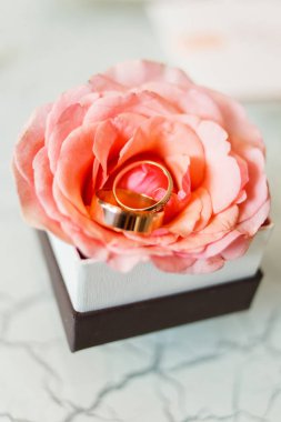 Altın alyans pembe Gül bir tomurcuk içinde yalan. Alyans yalan üzerine bir çiçek tomurcuk