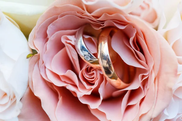 Los Anillos Bodas Dorados Encuentran Brote Rosa Rosada Los Anillos —  Fotos de Stock