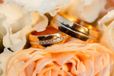 pastel pembe gül ile altın yüzük düğün