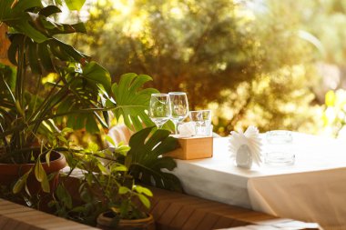 şarap ve şampanya bardakları