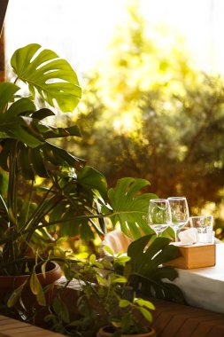 şarap ve şampanya bardakları