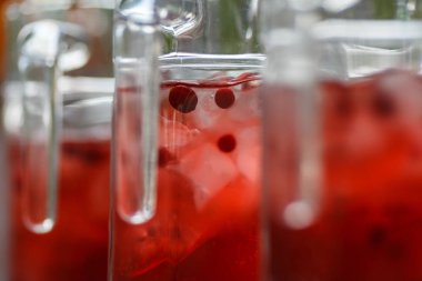 Kızılcık limonata ve buz ile Decanters