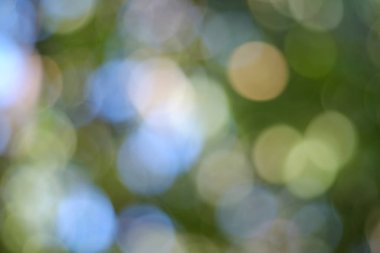 Bahçede doğal yeşil yapraklar bokeh arka plan