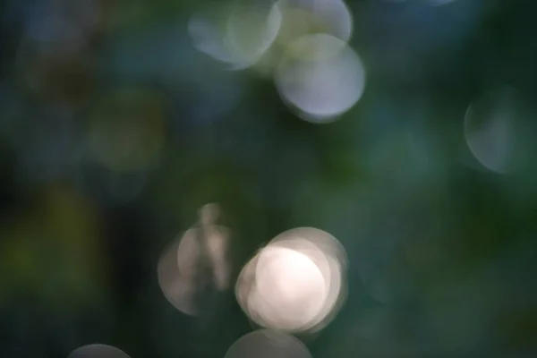 Folhas verdes naturais bokeh fundo no jardim — Fotografia de Stock