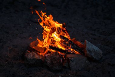 Bir gölün kumlu plajında şenlik ateşi