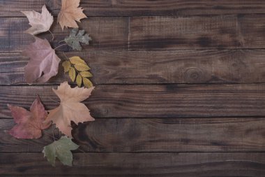 Sonbahar renkli ahır ahşap arka plan kopya alanı üzerinde farklı ağaç yaprakları