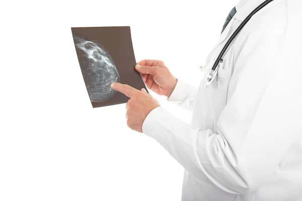 Beyaz arka plan kopya alanı içinde izole bir mamografi bakarak doktor