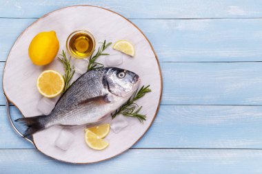 Taze ham çipura balık