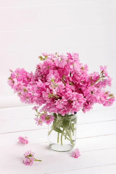 Ramo de flores de mattiola rosa — Foto de Stock