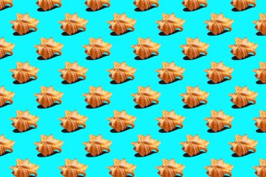 Mavi, arka planda deniz kabukları, pürüzsüz desen 