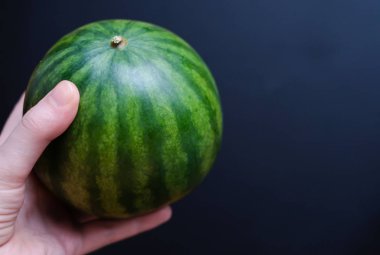 Yeşil bir mini karpuz karanlık bir arka plan üzerinde tutan kadının el.