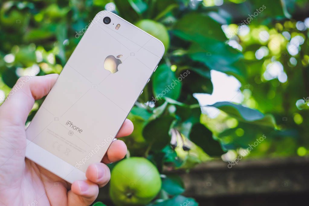 HALMSTAD, SWEDEN - AUGUST 9, 2018: concept image of womans hand holding new white or silver apple iphone SE near real apple tree with ripe fruits in the garden. Selective focus, blurred background.