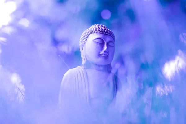 一个创意的形象, 一个小的沉思佛像在微妙的蓝紫色的颜色。选择性对焦。佛教的宗教象征 — 图库照片