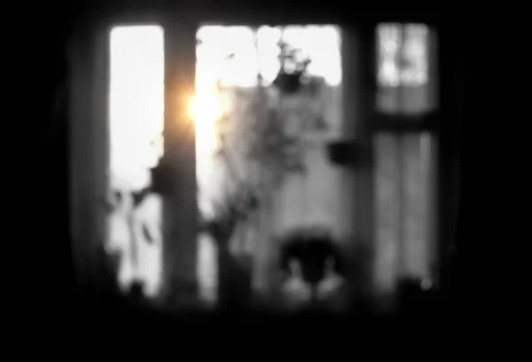 Gün batımında veya gün doğumunda farklı ev bitkileri ile bir pencerebulanık siyah beyaz görüntü. Depresyondan yeni bir yaşamın başlangıcı kavramı.