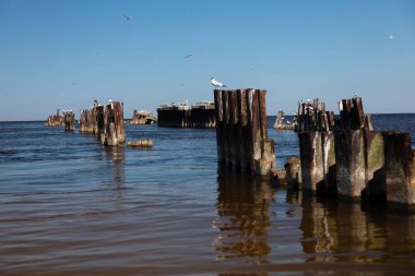 Denizde terk edilmiş eski bir rıhtım. Güneşli bir yaz günü. Martılar.