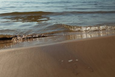 Kumsal ve nazik, yumuşak dalga, Baltık doğası