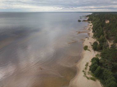 Kıyı şeridi, kumlu sahil, kum tepeleri ve sığ göller Peipsi Gölü, Estonya, insansız hava aracı fotoğrafı.