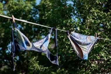 Mavi bir mayo ağaç yaprağının arka planında çamaşır ipinde kuruyor. Yaz konsepti, sıcaklık,