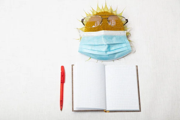 Sunflower with reading glasses, medical mask, notepad and red pen. concept, training, school, quarantine during coronavirus, on a white background, there is a place for text